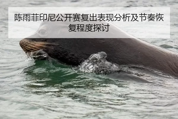 陈雨菲印尼公开赛复出表现分析及节奏恢复程度探讨