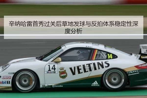辛纳哈雷首秀过关后草地发球与反拍体系稳定性深度分析
